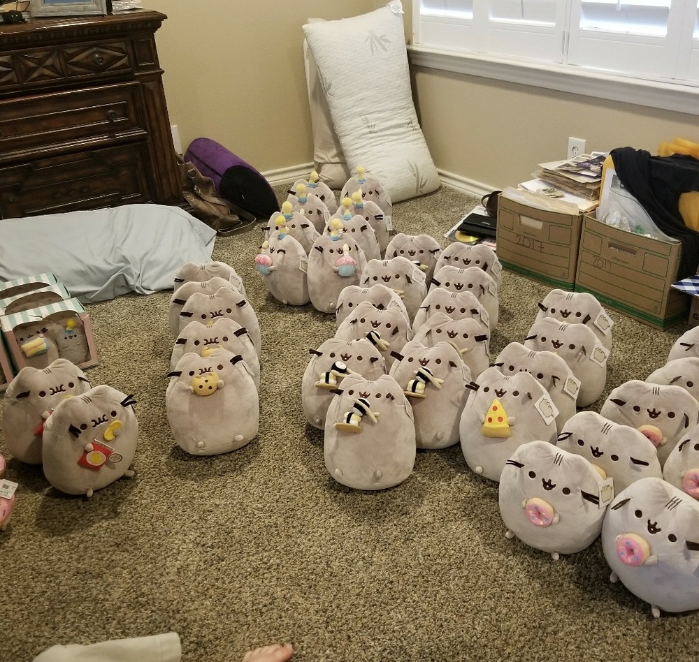 ⚡SOLD OUT⚡ TONS OF PUSHEENS!!! - Picture 3 of 3